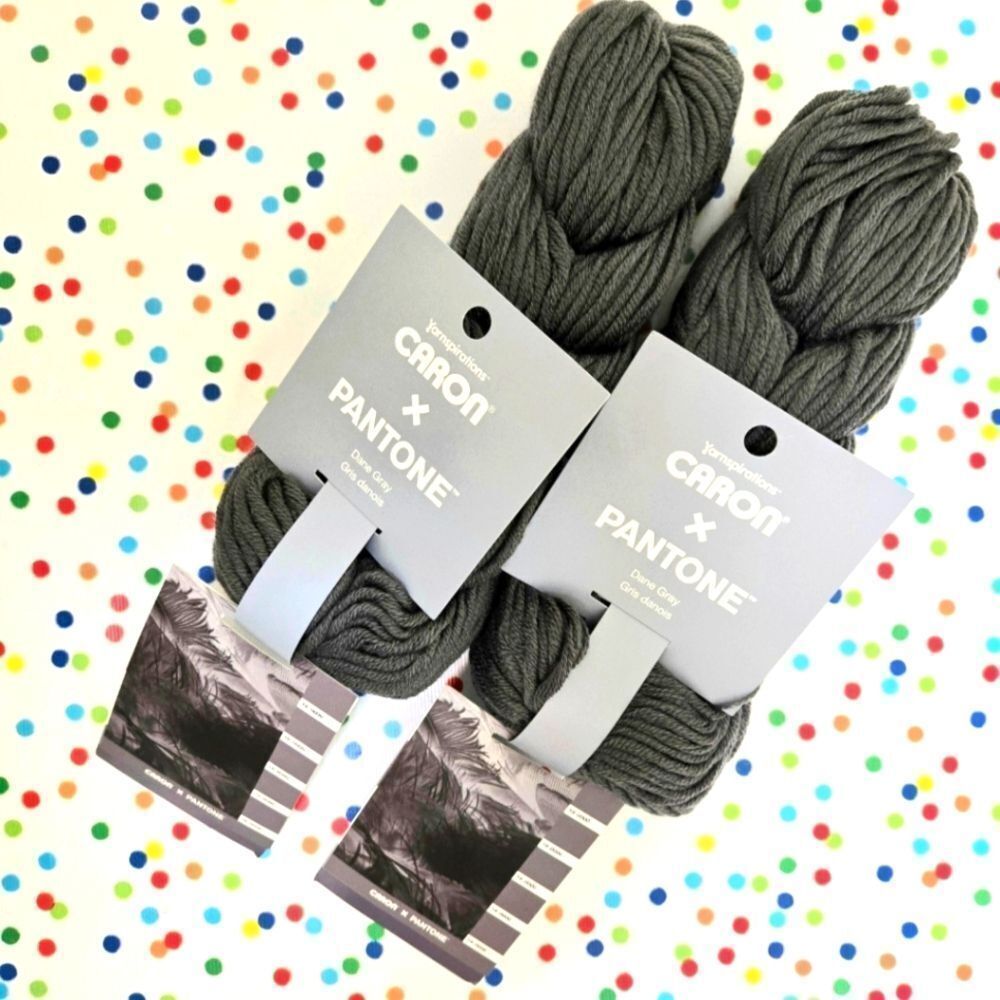 Carbon x Pantone Dane Gray Yarn 2 Hanks 1 Free